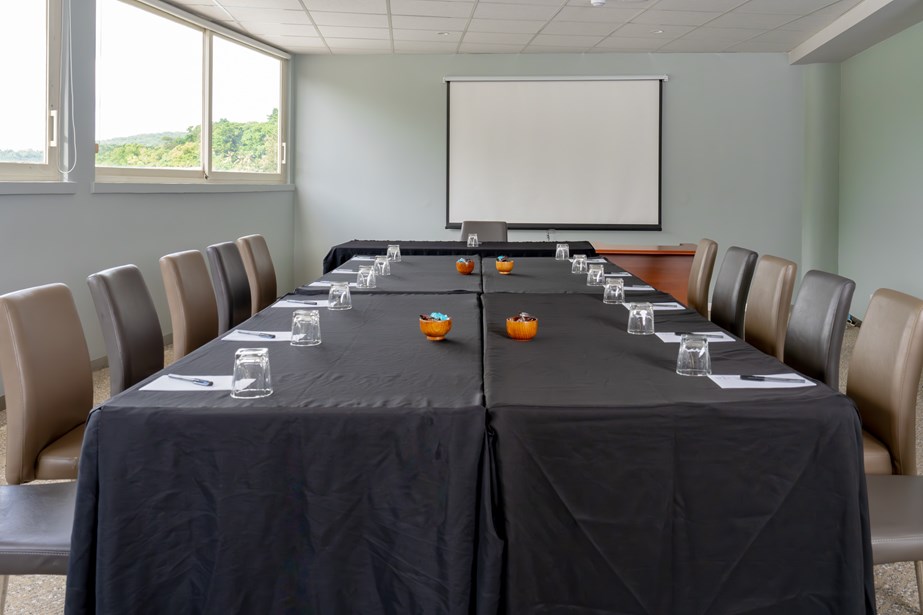 Melekula Boardroom