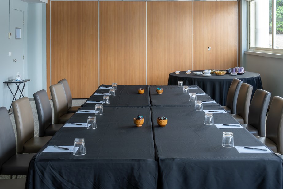 Ambrym Room & Tanna Room